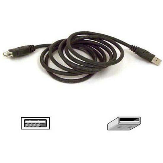 Black Belkin USB extension cable with Type A male and female connectors, coiled to show 6-foot length, with connector diagram below