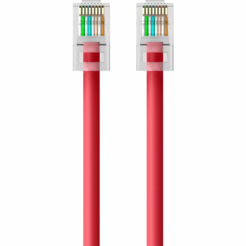 Front view of RJ45 connector showing pin alignment and gold contacts