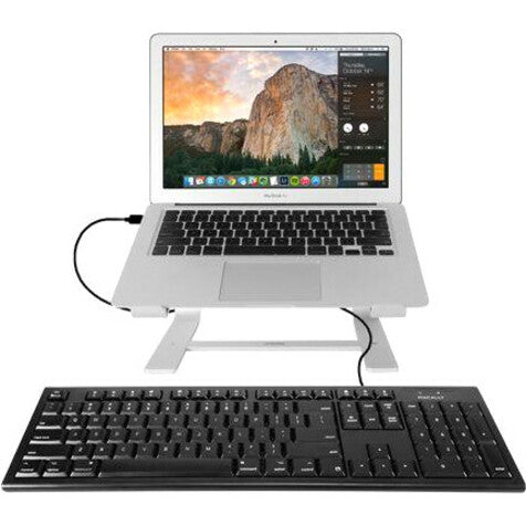 Macally QKEYB Schwarz 104 Tasten Full Size USB Tastatur für Mac Windows und Mac OS kompatibel