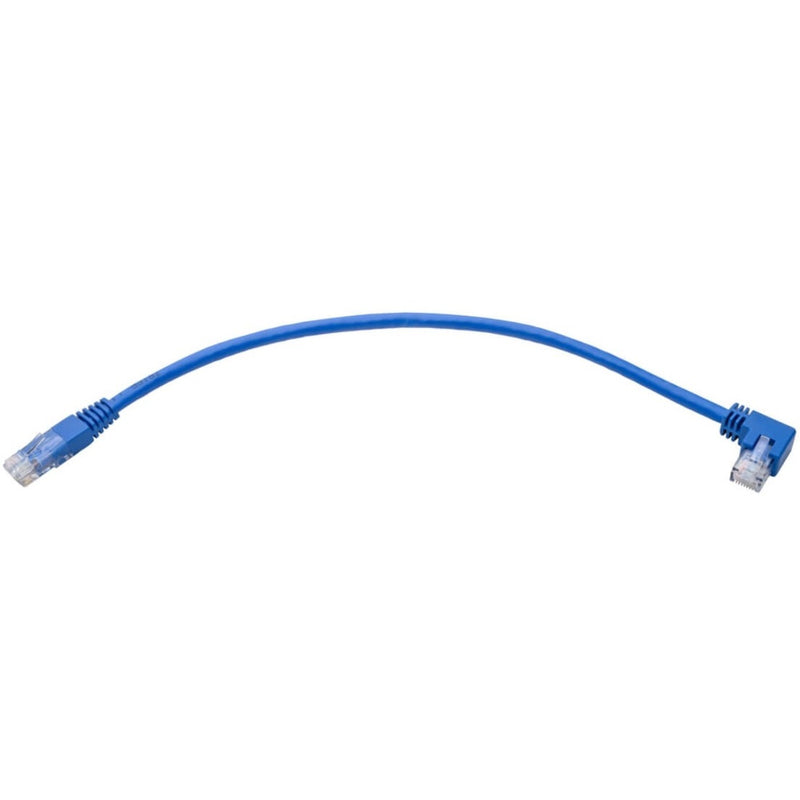 Full length view of blue Cat6 patch cable showing curved profile