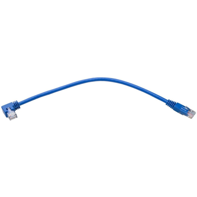 Full length view of blue Cat6 patch cable showing cable curve and connectors