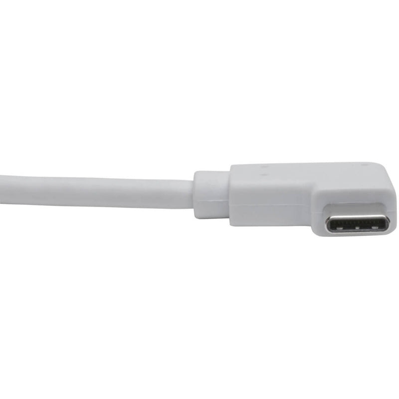 Close-up of USB-C connector on Tripp Lite adapter showing reversible design