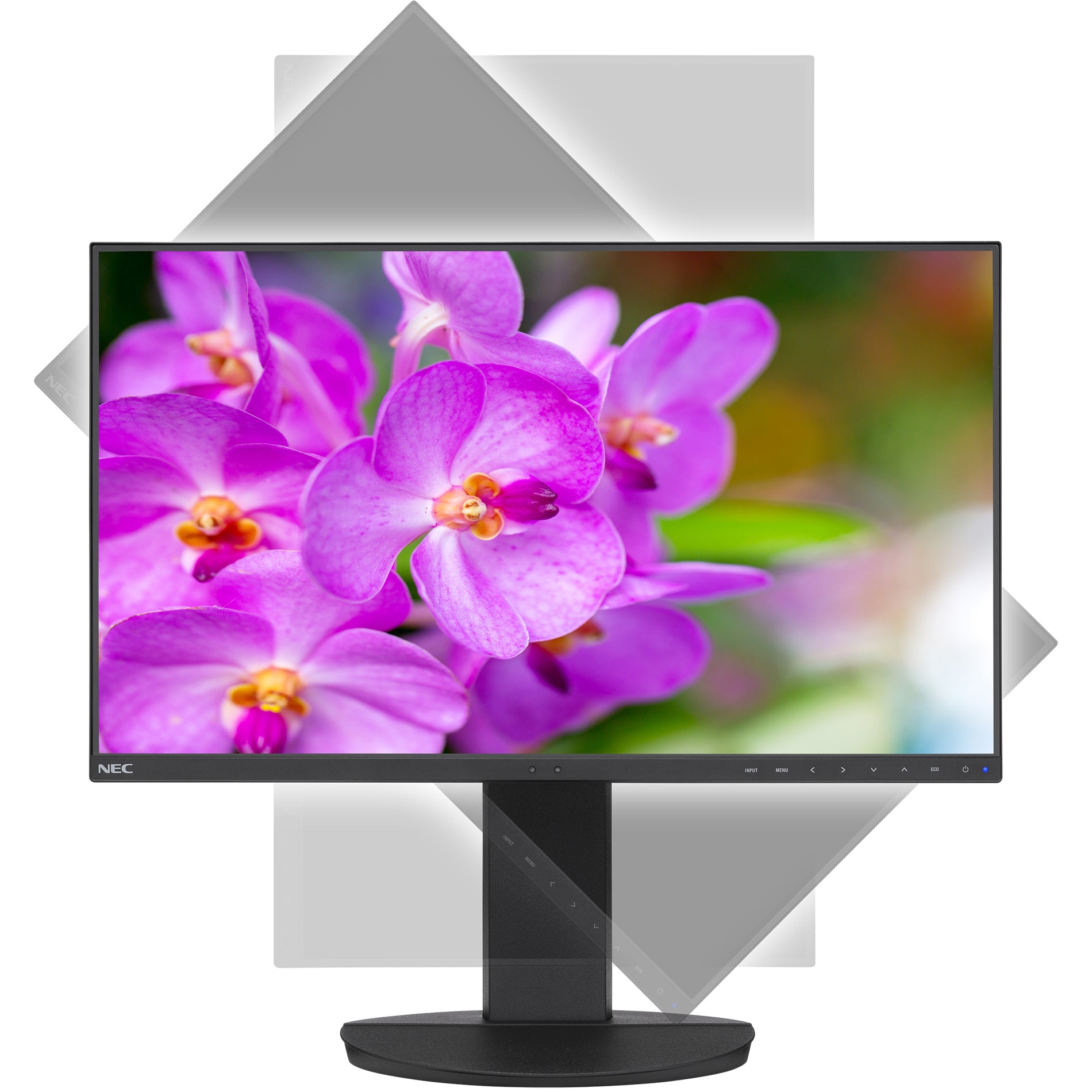 NEC Display EA241F-BK MultiSync 23.8