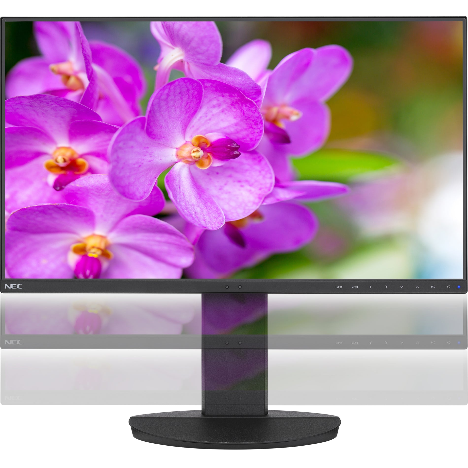 NEC Display EA241F-BK MultiSync 23.8