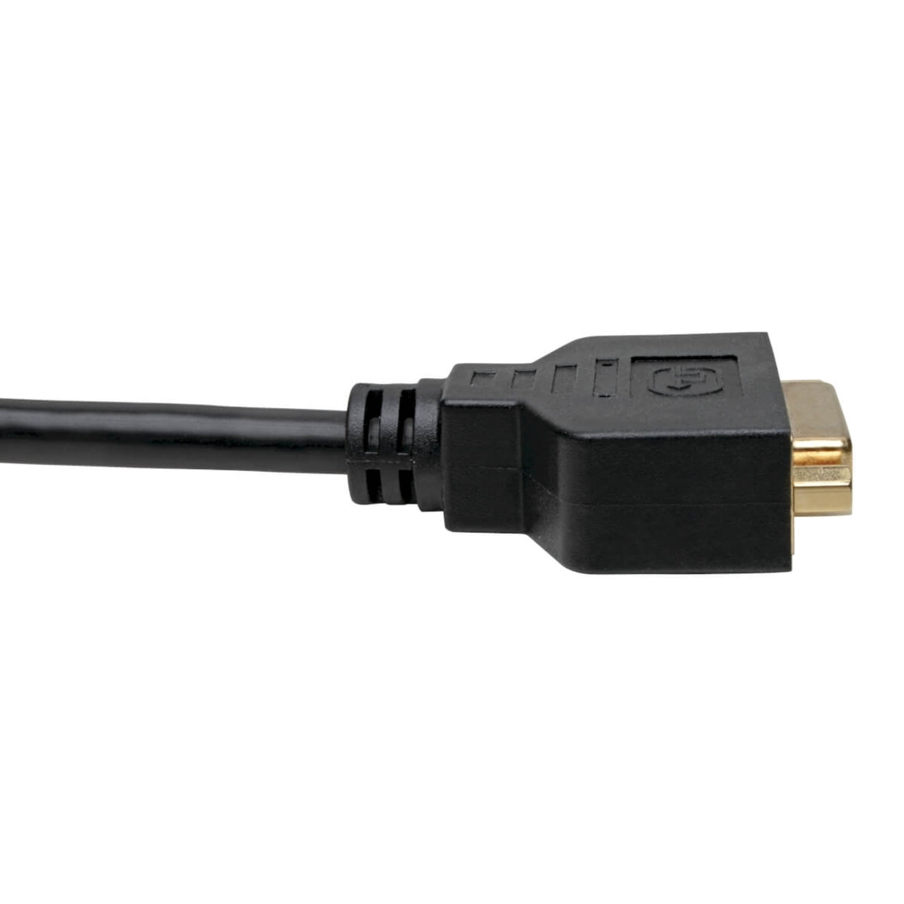 Tripp Lite P134-001-GC Adaptateur de câble DisplayPort vers DVI Noir 1 pi.