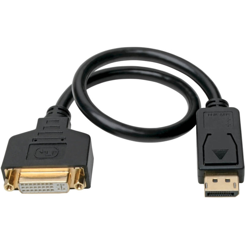 Full length view of curved DisplayPort to DVI adapter cable showing connector ends