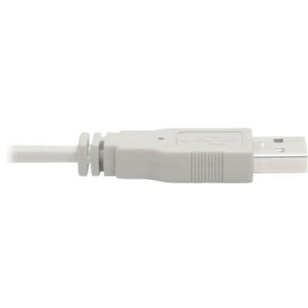 Câble KVM Tripp Lite P760-010-DVI 10 ft DVI Dual-Link Mâle à Mâle