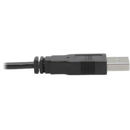 Tripp Lite P760-010-DVI KVM Cable, 10 ft, Dual-Link DVI Male to Male