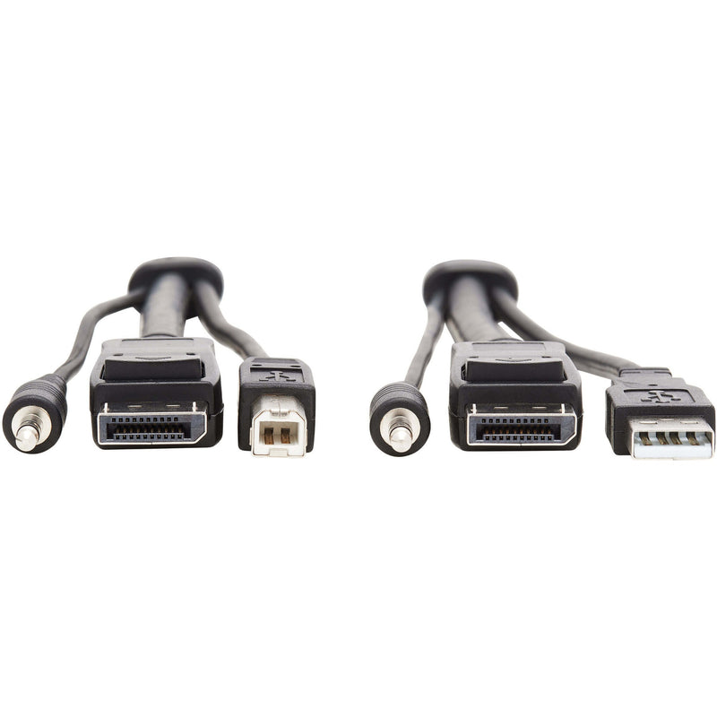 Detailed view of DisplayPort and USB connectors on Tripp Lite P783-006 KVM cable