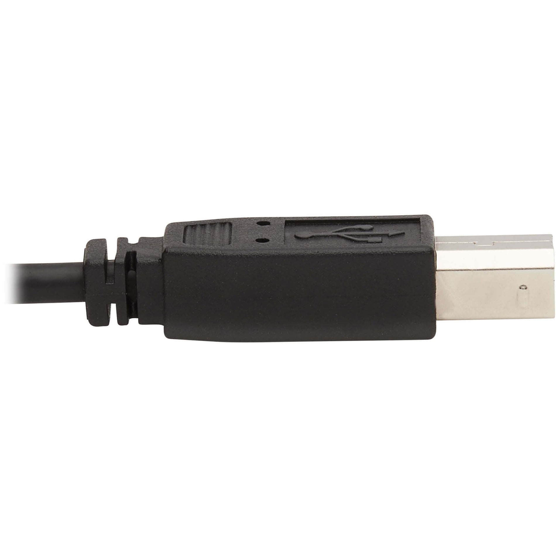 Tripp Lite 伊顿 P783-010 KVM 线缆，4K USB 10FT 三宝亮
