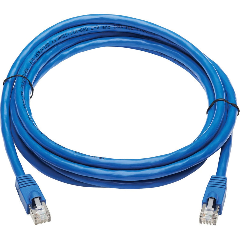 Blue Cat6a F/UTP network patch cable with RJ45 connectors showing full 10-foot length