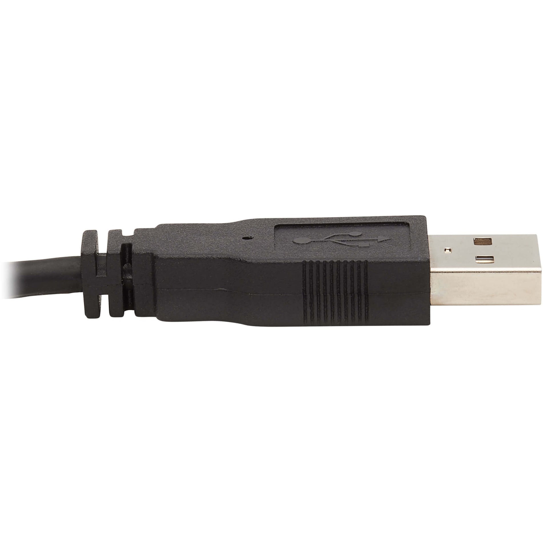 Cavo KVM Tripp Lite P784-006-DV 6 ft Plug & Play 480 Mbit/s 2560 x 1600 Video digitale DVI-I (Dual-Link) USB 2.0 Tipo A/B Audio stereo Garanzia a vita