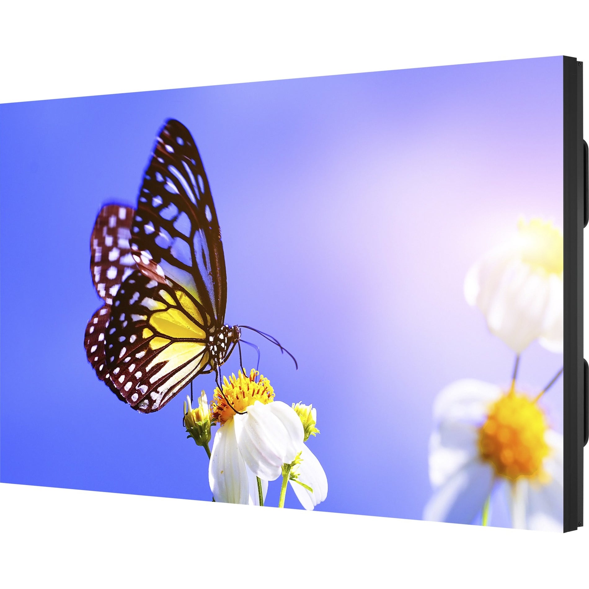 NEC Display UN552V 55" Ultra-Narrow Bezel Professional-Grade Display, 500 Nit Brightness, 1080p Scan Format