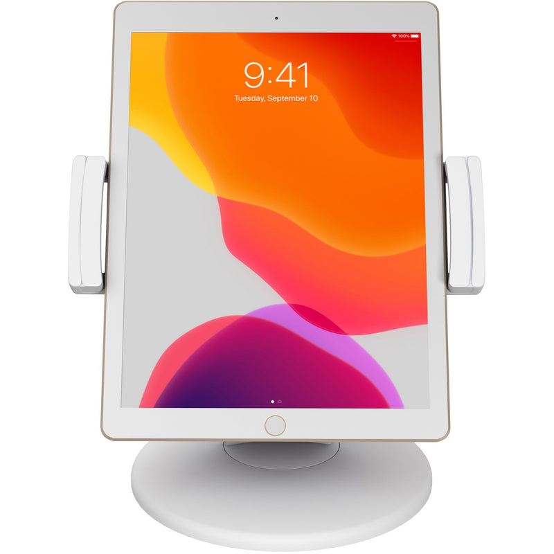 Straight-on view of tablet mount holding iPad with vibrant display