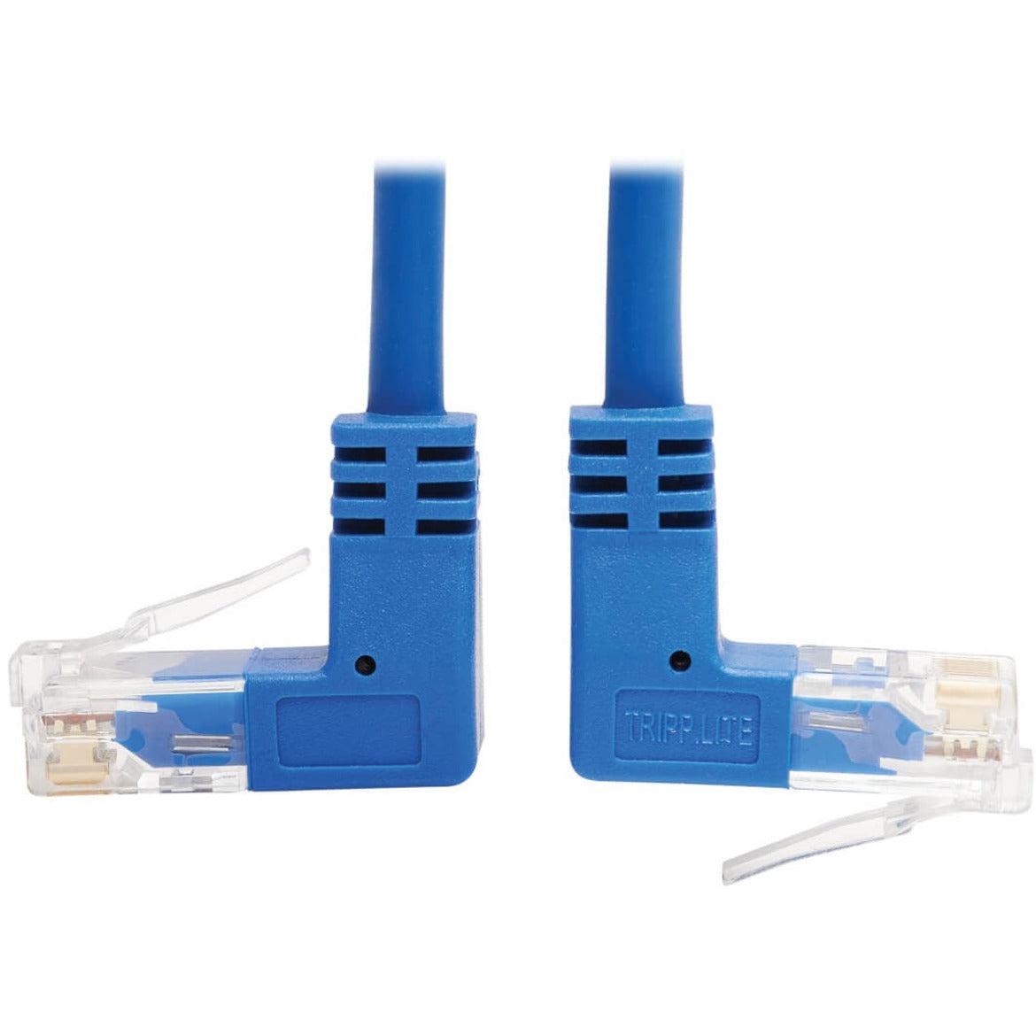 Close-up of blue Cat6 cable's up and down angled RJ45 connectors with gold-plated contacts-alternate-image1