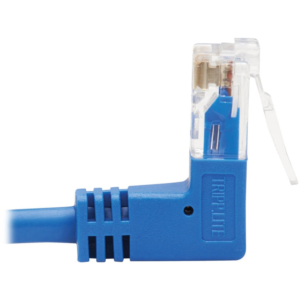 Tripp Lite N204-S20-BL-UD Câble Réseau Cat.6 UTP 6 m Connecteur en Angle Haut Plaqué Or Bleu