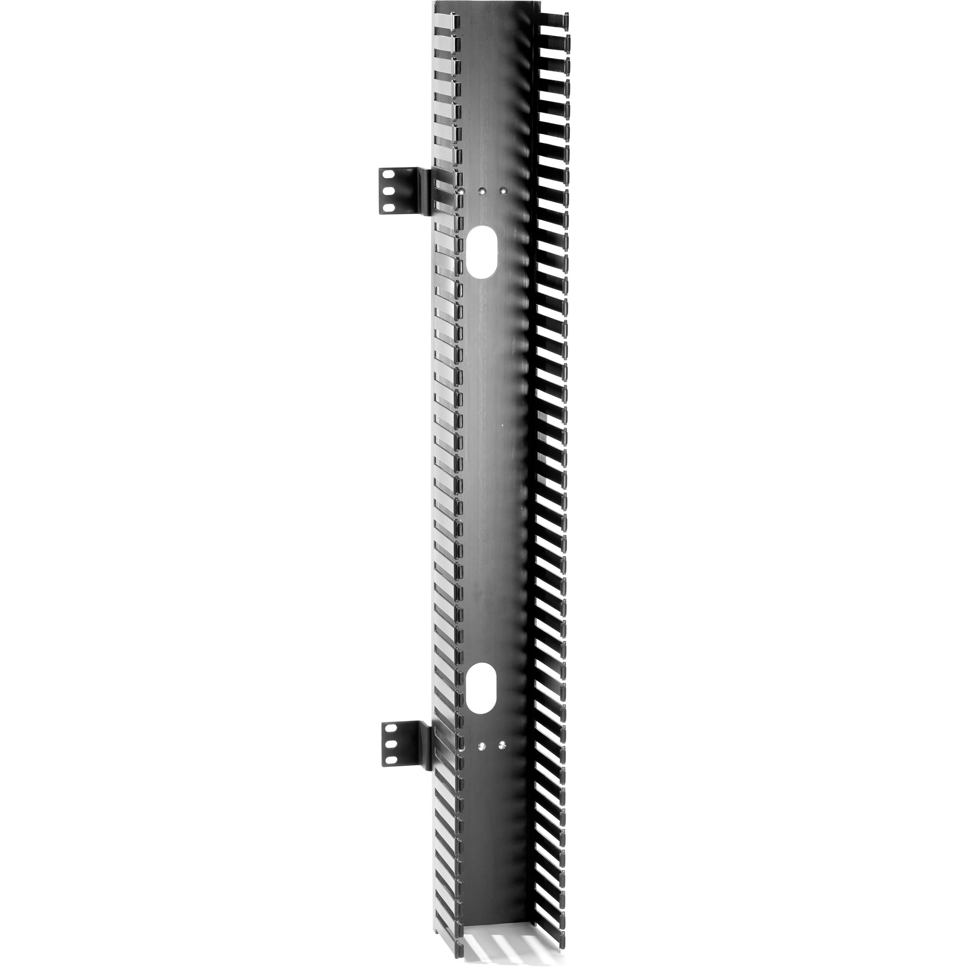 Black Box RMT200A-R4 Vertical Cable Manager, TAA Compliant, Lifetime Warranty