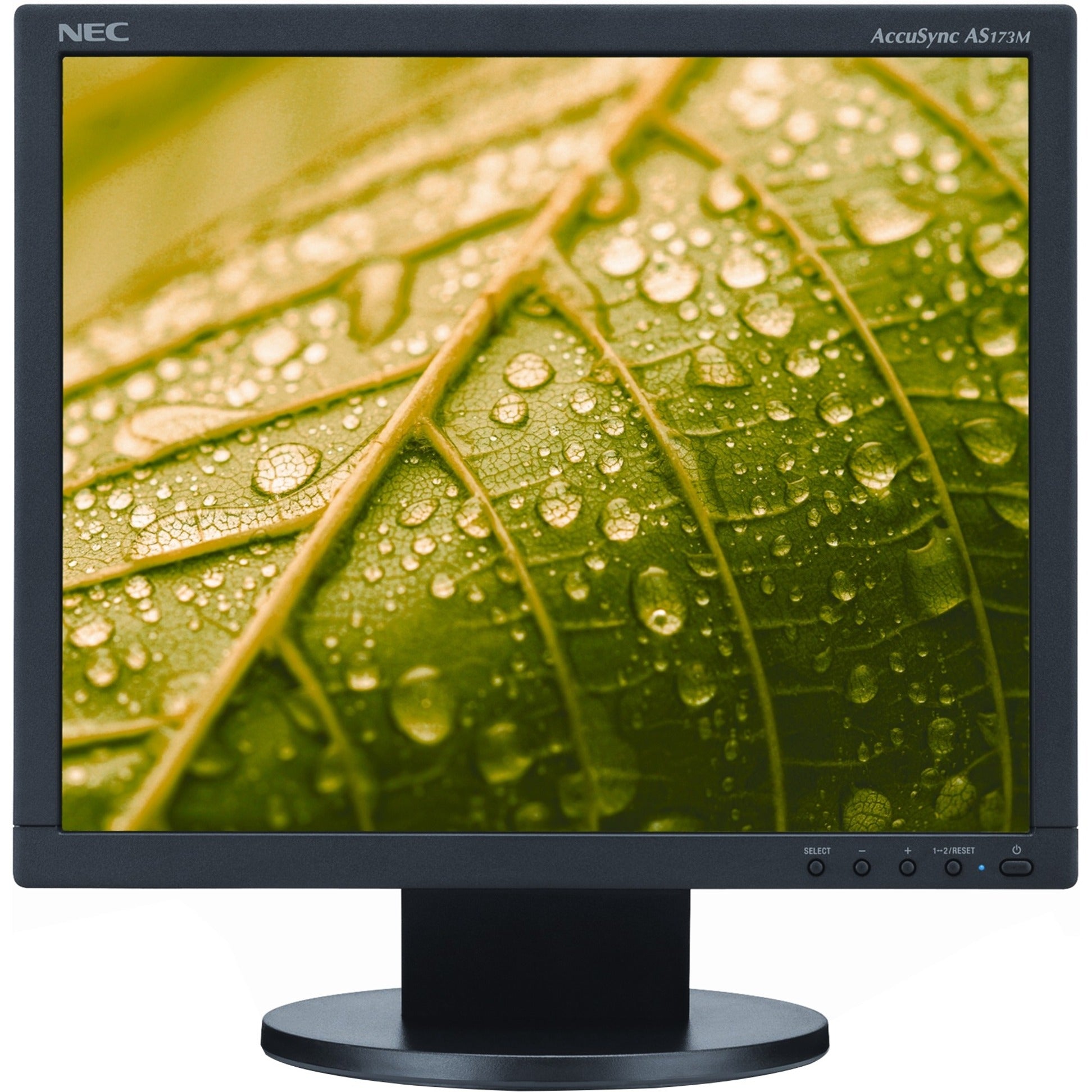 NEC Display AS173M-BK AccuSync 17 LCD Monitor LED-achtergrondverlichting 1280 x 1024 5:4.