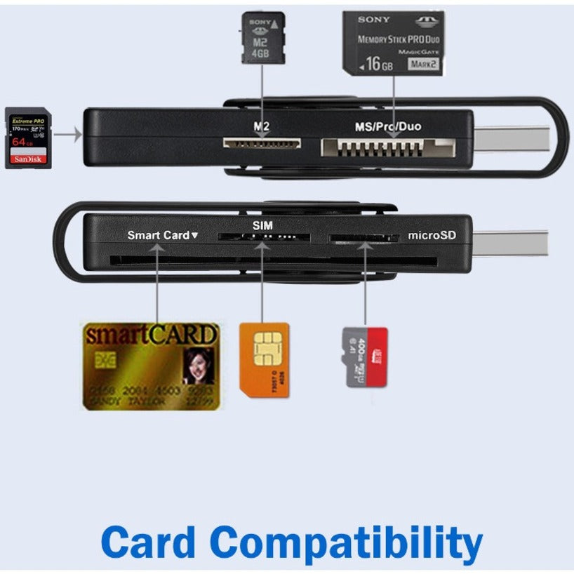 Illustration showing all compatible card formats-alternate-image11