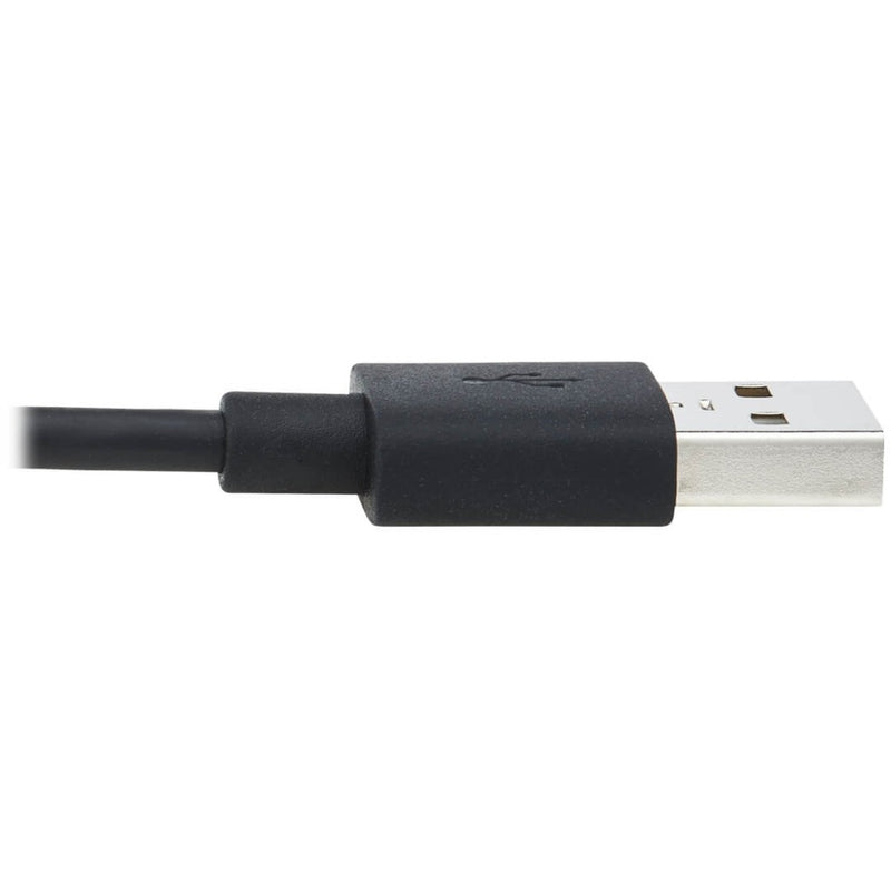 Close-up of USB-A connector end showing contact design