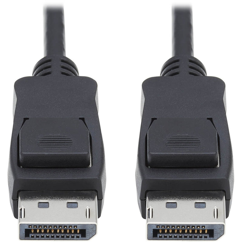 Close-up view of dual DisplayPort 1.4 connectors with gold-plated pins and latching mechanism