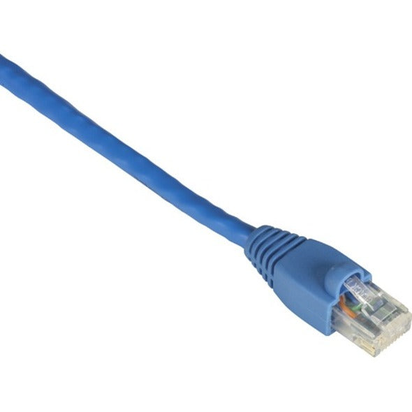 Close-up view of Black Box GigaTrue Cat6 network cable in blue with transparent RJ-45 connector showing gold-plated contacts