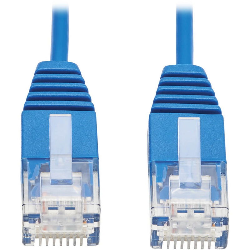 Close-up view of two blue Cat6 cable RJ45 connectors with gold-plated pins and strain relief design