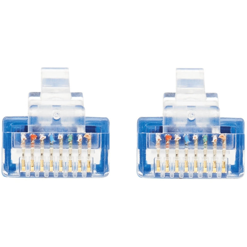 Detailed view of RJ45 connector pin layout showing gold-plated contacts