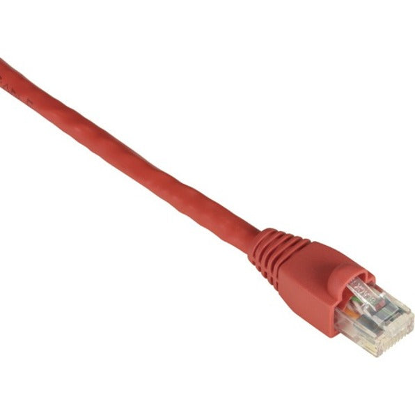 Red Cat.6 network cable with snagless boot and gold-plated RJ-45 connector closeup