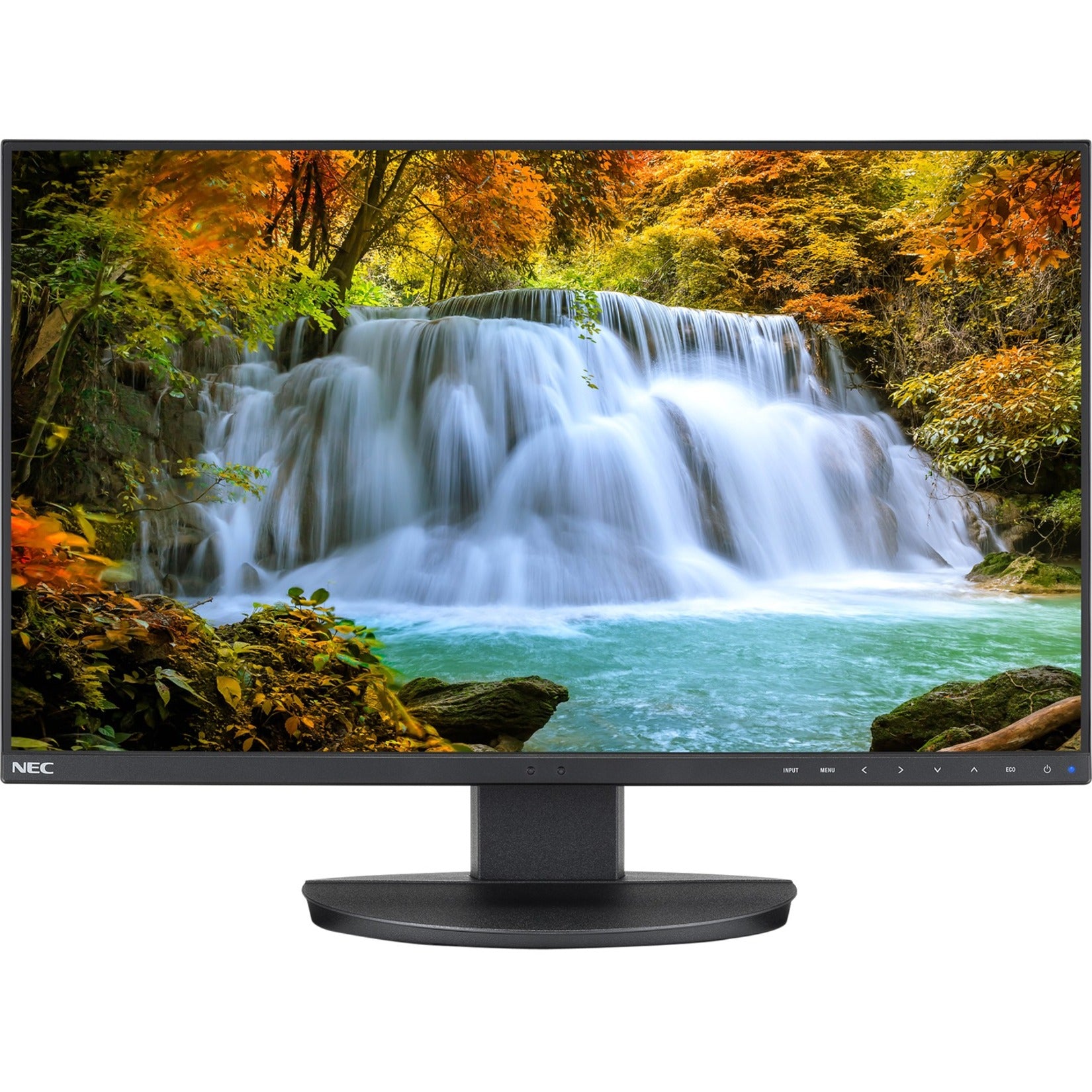 NEC Display EA242F-BK MultiSync 24" LED LCD Monitor, Full HD, USB-C Connectivity