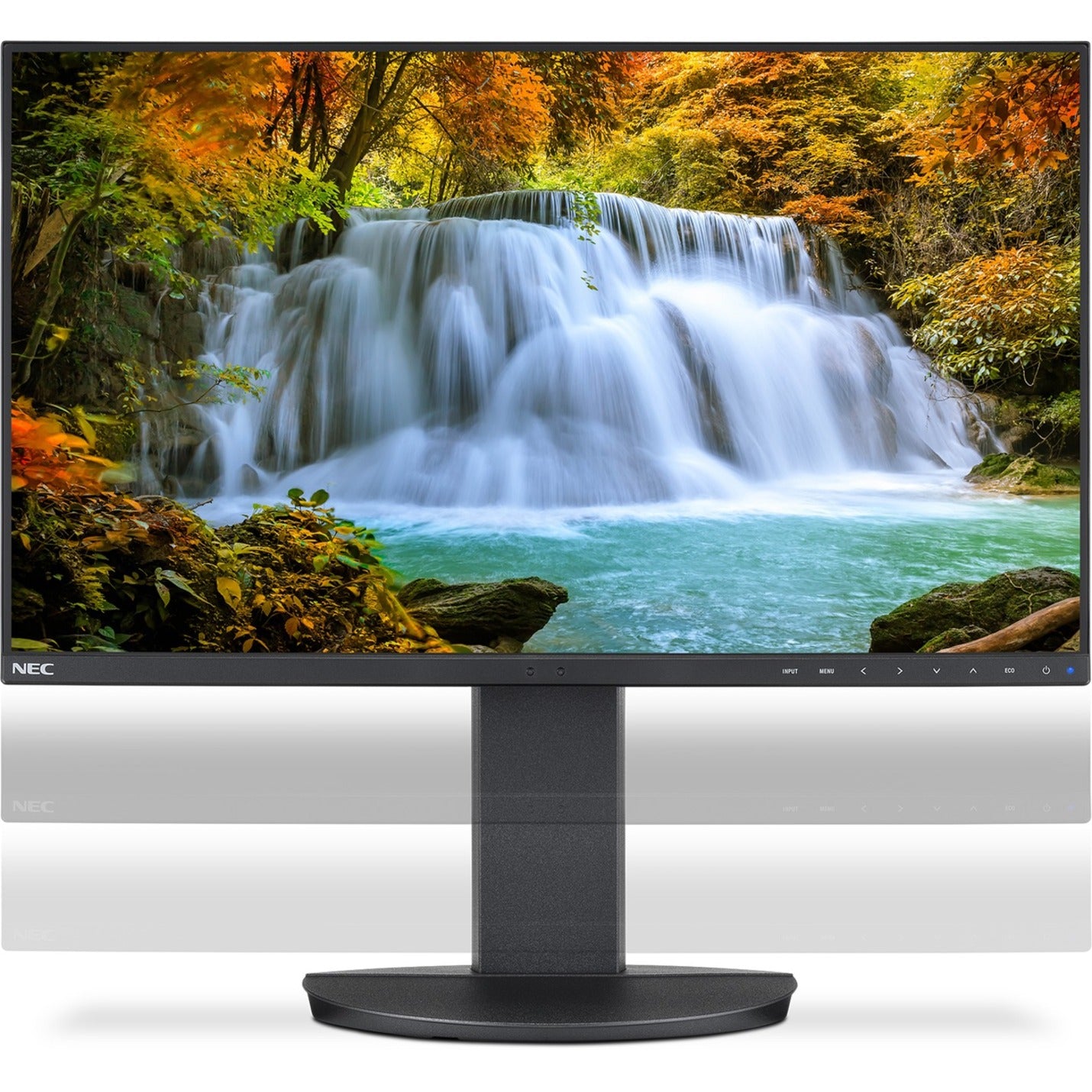 NEC Display EA242F-BK MultiSync 24" LED LCD Monitor, Full HD, USB-C Connectivity