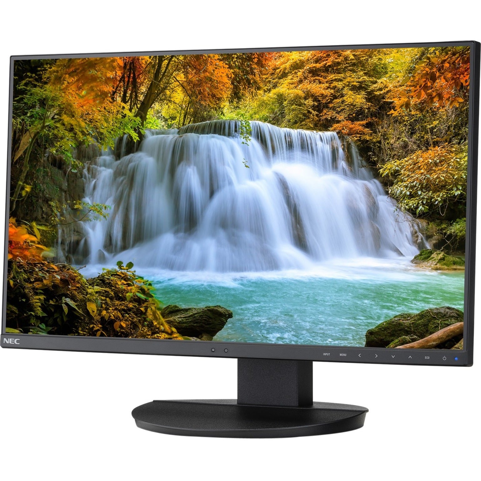 NEC Display EA242F-BK MultiSync 24" LED LCD Monitor, Full HD, USB-C Connectivity