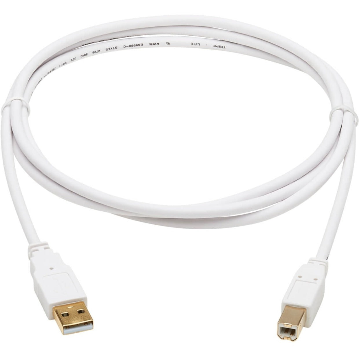 Full length view of white USB cable showing natural curve and both connectors-alternate-image3