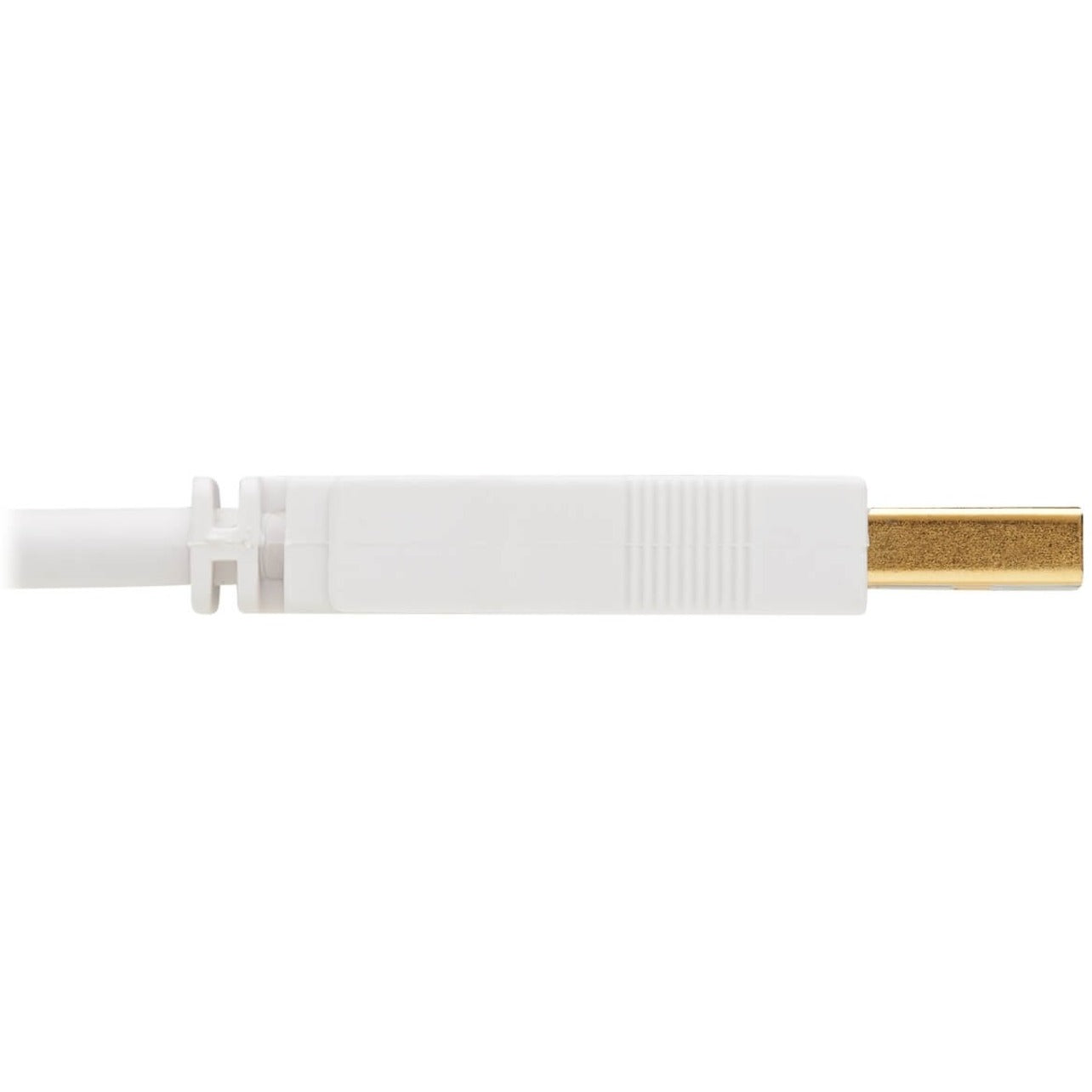 Câble USB-A vers USB-B antibactérien Tripp Lite U022AB-006-WH (M/M) Blanc 183 m (6 pieds)