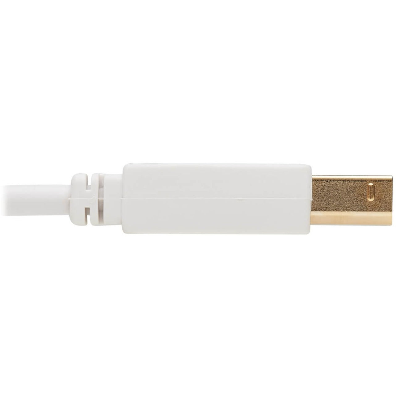 Câble USB-A vers USB-B antibactérien Tripp Lite U022AB-006-WH (M/M) Blanc 183 m (6 pieds)