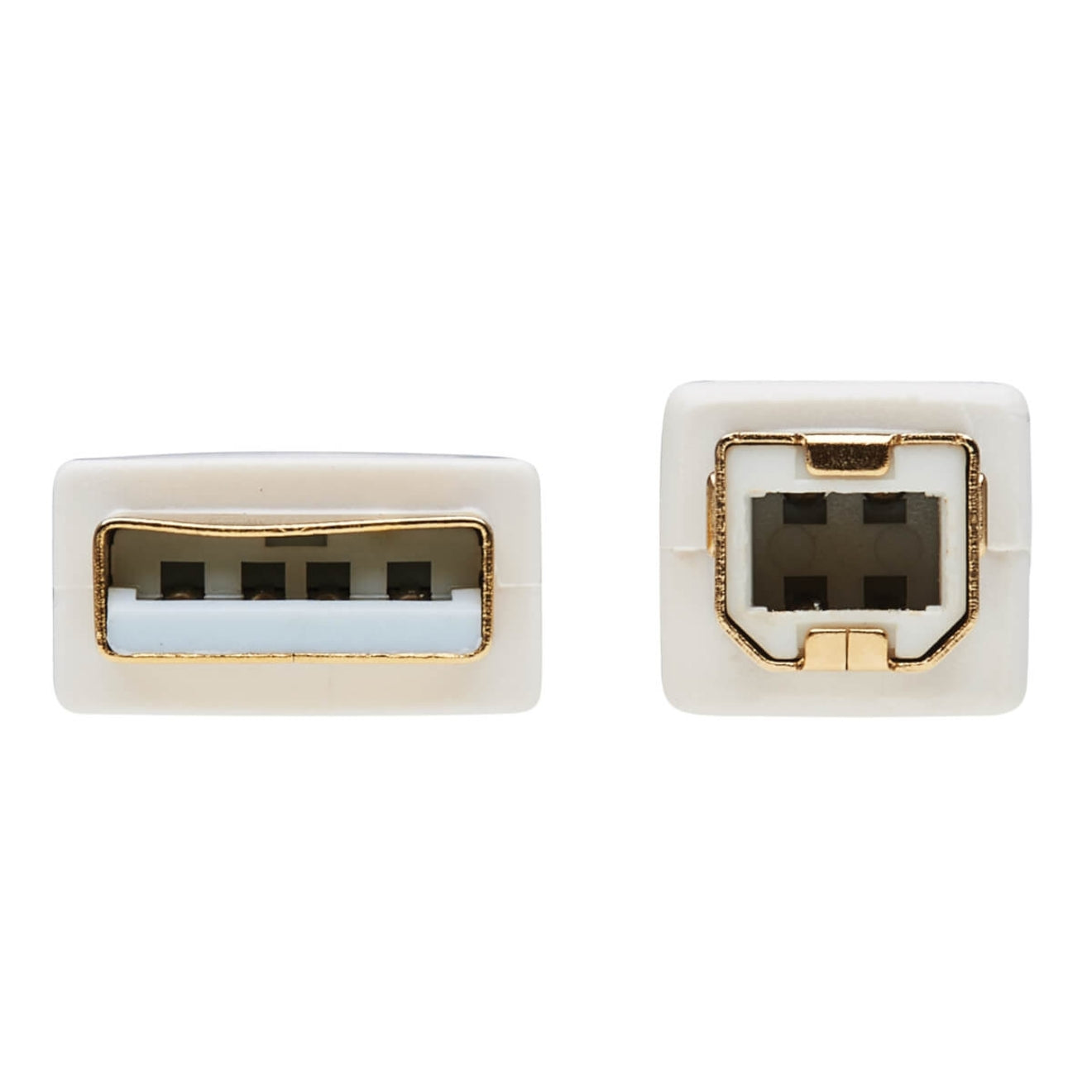 Detailed view of USB-A and USB-B connector faces showing gold-plated contacts-alternate-image4