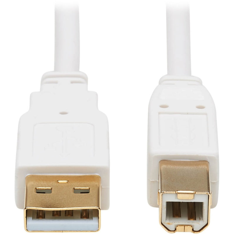 Close-up view of gold-plated USB-A and USB-B connectors on white antibacterial cable