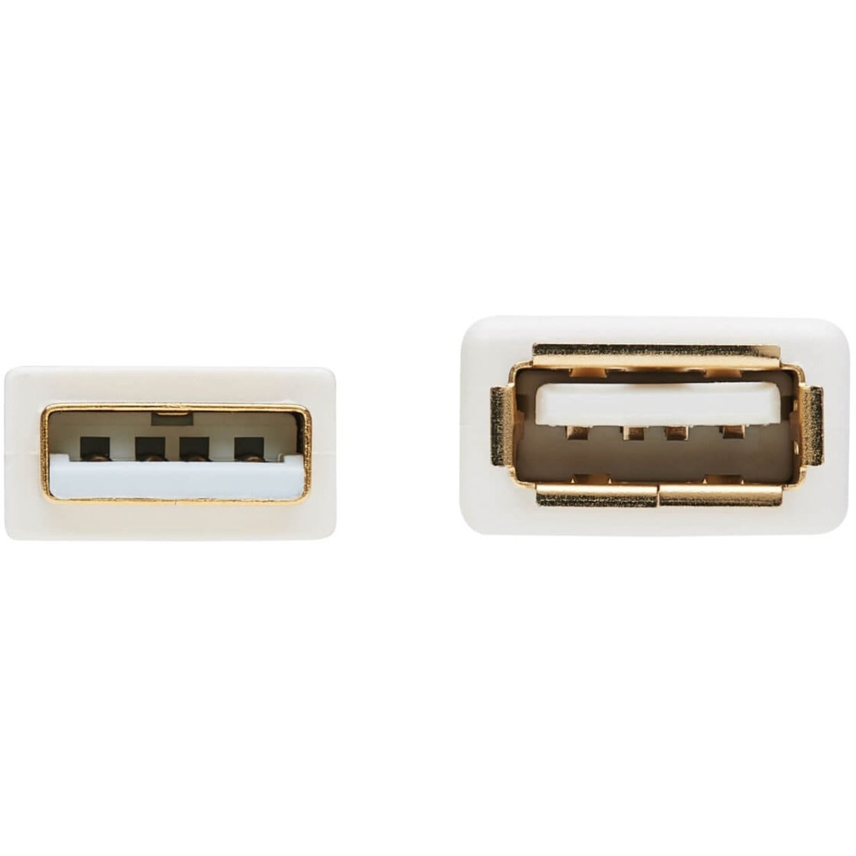 Detailed front view of USB-A male and female connector ports-alternate-image5