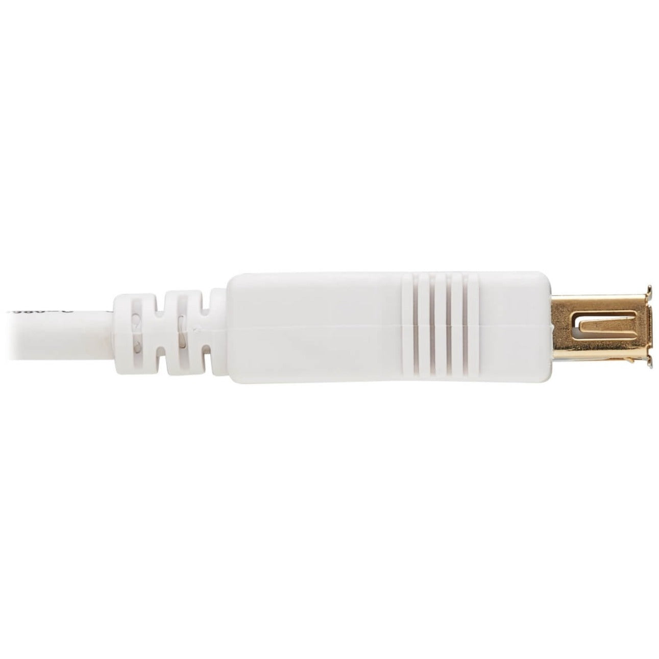 Tripp Lite U024AB-006-WH USB-A Antibacterial Extension Cable (M/F), USB 2.0, White, 6-ft. (1.83 m)