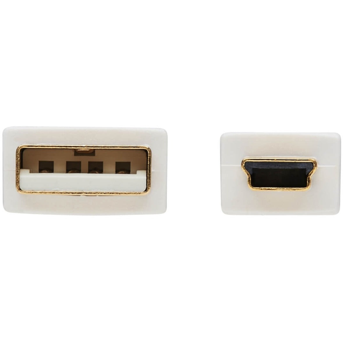 Close-up comparison of USB-A and Mini-B connector faces showing gold-plated contacts-alternate-image5