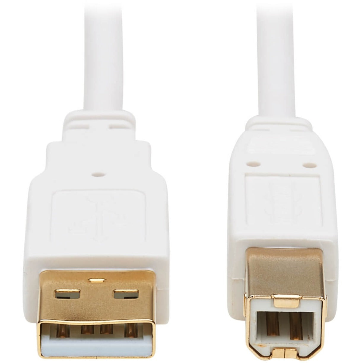 Close-up view of gold-plated USB-A and USB-B connectors on white antimicrobial cable-alternate-image1