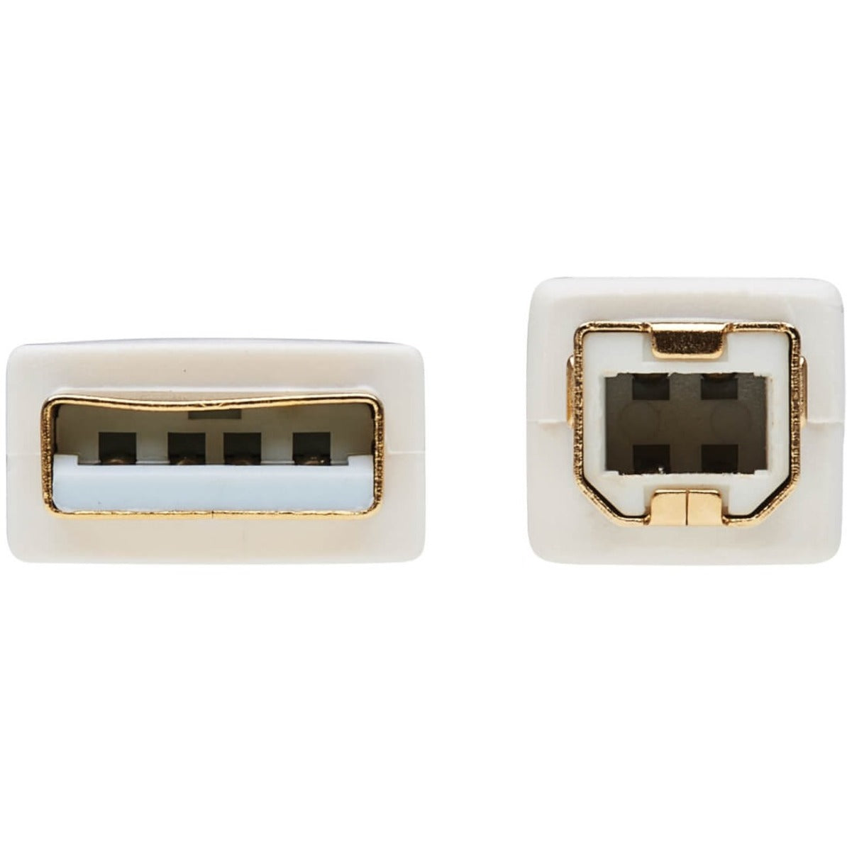 Detailed view of USB-A and USB-B connector ends showing gold contacts-alternate-image5