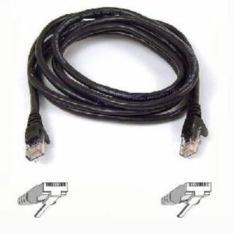 Belkin Cat6 UTP patch cable with RJ45 connectors and snagless boots, coiled in black, 100 feet length