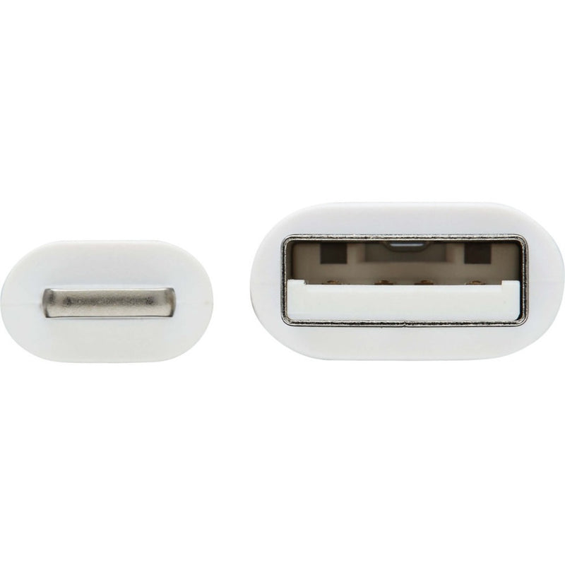 Detailed view of Lightning and USB-A connector ends showing internal contact design