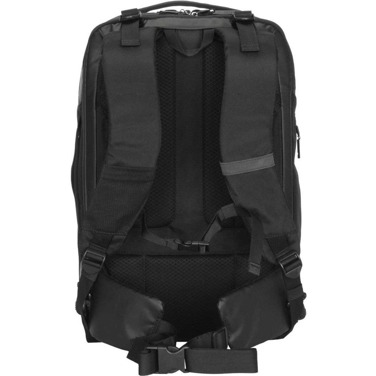 Targus TBB612GL Carrying Case (Backpack) for 15.6" Notebook (TBB612GL) Rear image