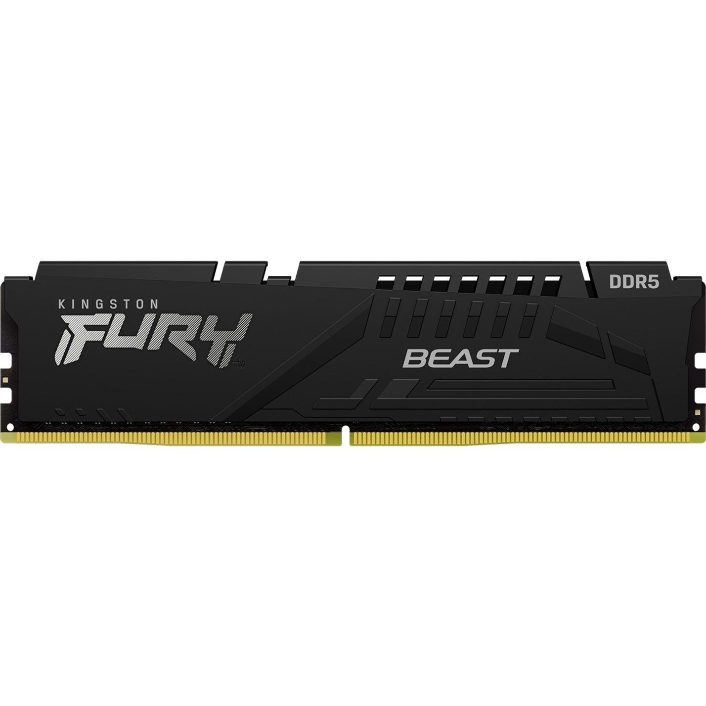 Kingston KF556C40BB-16 FURY Beast 16GB DDR5 SDRAM Memory Module High-Speed Performance for Desktop PCs