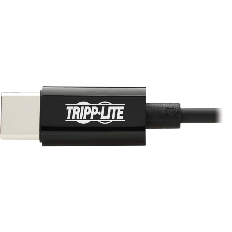 Detail of USB-C connector with Tripp Lite branding