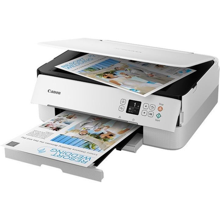 Canon PIXMA TS6420a demonstrating scanning and copying functionality-alternate-image6