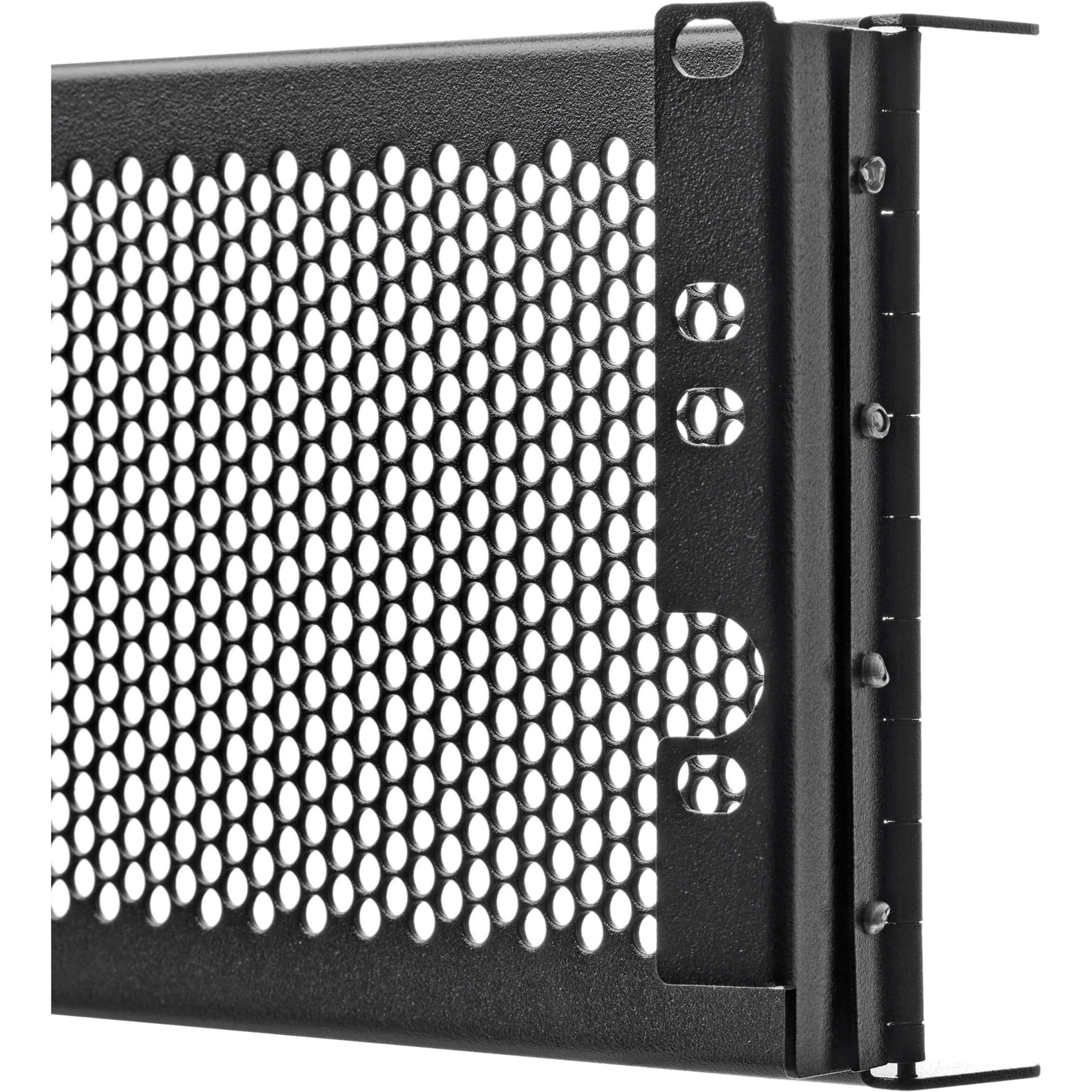 Tripp Lite SR3UCAGE Housse de Sécurité à Charnière pour Équipement de Rack 3U Avant