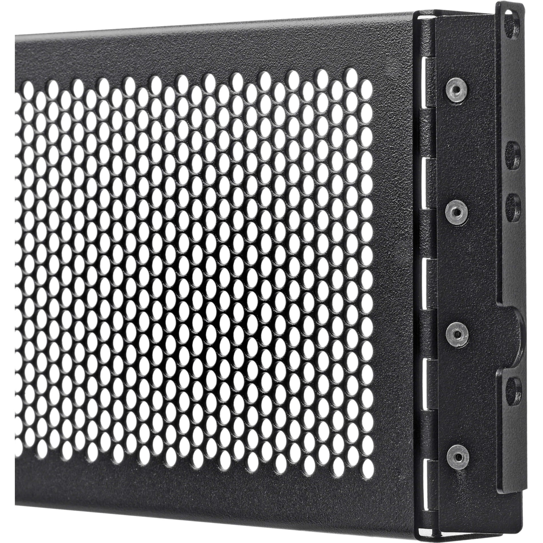 Tripp Lite SR3UCAGE Housse de Sécurité à Charnière pour Équipement de Rack 3U Avant